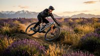Male cyclist riding mountain bike through purple wildflower meadow at sunset with snow-capped mountains in background. Adventure sports and outdoor recreation concept.
