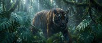 Majestic tiger prowling through dense tropical jungle with sunlight filtering through lush green foliage and ferns creating dramatic wildlife scene.