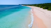 Pristine sandy beach with turquoise ocean waters meeting pink sand shoreline, aerial view of curved coastline bordered by lush green tropical vegetation.