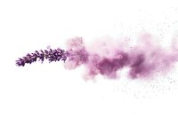 Purple lavender flower dissolving into soft powder explosion against white background, creating dreamy aromatic concept for wellness products.