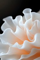 Soft white ruffled petals with gentle orange glow create abstract waves and curves, macro photography showcasing delicate natural textures and light gradients.