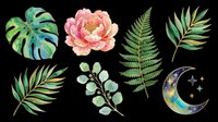 Botanical garden elements with pink peony flower, tropical monstera and palm leaves, fern fronds, eucalyptus branch, and celestial moon. Isolated on transparent background, ready for t-shirts, stickers, clipart, sublimation, and print-on-demand designs.