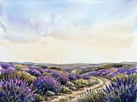 Lavender field landscape with rolling hills, winding rural road, and blooming purple flowers under soft sky, suitable for travel, nature, and countryside design projects.