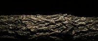 Dramatic rocky mountain ridge with rugged textured surface against dark sky creating striking contrast for outdoor adventure and geology themes.