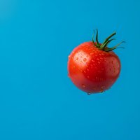 Fresh red ripe tomato with green stem and water droplets on bright blue background for healthy cooking and nutrition concepts.