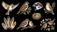 Isolated birds and feathers collection on transparent background, ready for t-shirt design, clipart, stickers, sublimation and print-on-demand projects.
