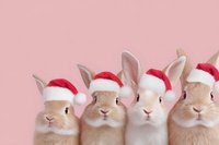 Adorable brown rabbits wearing festive red Santa hats on pink background, perfect for holiday greeting cards and seasonal marketing materials.