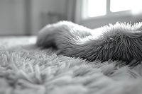 Soft focus macro shot of fluffy fur texture in black and white, creating abstract patterns with natural light from window, showcasing gentle curves and depth.
