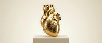 Golden anatomical heart sculpture displayed on minimalist pedestal against neutral background for medical education and luxury design concepts.