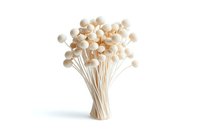 Delicate white mushrooms with long stems arranged in elegant bouquet against pure white background, isolated design element for culinary and nature concepts.