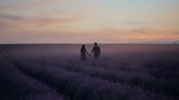 Couple holding hands in blooming lavender field at sunset, romantic outdoor engagement or wedding moment in nature landscape.
