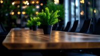 Small green plant in black pot on wooden conference table with blurred office chairs and bokeh lights in background creating modern business atmosphere.