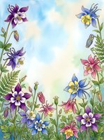 Watercolor columbine flowers frame in purple, blue, and pink with green ferns on a soft sky background, copy space for text.