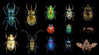 Insects collection featuring beetles, bugs, and arachnids isolated on transparent background. Ready for clipart, t-shirt design, stickers, print-on-demand products, and sublimation projects.
