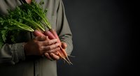 Farmer holding fresh organic radishes with green leafy tops against dark background, suitable for agriculture, farming, and healthy food marketing.