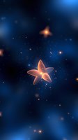 Glowing orange starfish-shaped lights float mysteriously against deep blue cosmic background with sparkling particles and bokeh effects creating magical atmosphere.