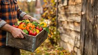 Farmer holding wooden crate filled with fresh colorful bell peppers in garden setting, harvest time produce for farmers market or agricultural business use.
