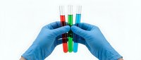 Scientist wearing blue latex gloves holding test tubes with red, green, and blue chemical liquids for laboratory research and scientific experimentation.