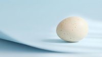 Single speckled brown egg on white plate against soft blue background for cooking and breakfast concepts.