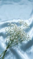 Delicate white baby's breath flowers bouquet on soft blue fabric with natural shadows creating romantic minimalist composition for wedding and floral design projects.