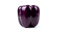 Fresh dark purple bell pepper isolated on white background, suitable for food, cooking, nutrition, and recipe design projects.