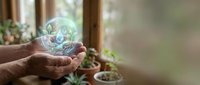 Elderly hands holding glowing transparent sphere with green plant inside, symbolizing environmental protection and sustainable future in cozy home setting.