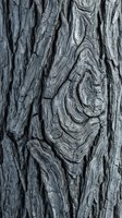 Weathered tree bark texture with intricate natural patterns and deep grooves creating organic abstract design for nature backgrounds and rustic decor projects.