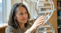 Mature Caucasian female scientist examining large glass DNA double helix model in modern laboratory setting for genetic research and biotechnology education.