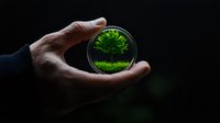 Hands holding camera lens capturing green tree reflection against dark background, creating artistic perspective of nature through photography equipment.
