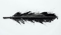 Black feather with ink splatter effect on white background, artistic nature study showing detailed texture and dispersing particles. Isolated design element.