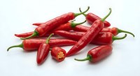 Fresh red chili peppers isolated on white background for culinary cooking spice ingredient design projects and food photography applications.
