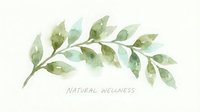 Watercolor botanical branch with soft green leaves on white isolated background, suitable for wellness, spa, and natural health design projects.
