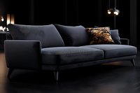 Modern dark gray sofa with metallic legs and decorative cushion in contemporary minimalist living room interior with dramatic lighting and black walls.