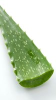 Aloe vera leaf slice isolated on white background, showing fresh green gel interior and textured outer skin with natural spots, suitable for cosmetics, skincare, wellness and botanical design projects.