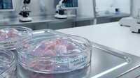 Laboratory petri dishes with biological samples on sterile metal tray in modern medical research facility with microscopes and scientific equipment.