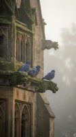 Pigeons perched on moss-covered gothic stone gargoyle of ancient cathedral in misty atmospheric morning light creating peaceful urban wildlife scene.