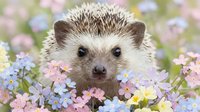 Adorable hedgehog surrounded by colorful spring flowers in garden setting. Cute small mammal among pink and blue blooms for nature and wildlife content.