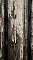 Weathered wooden planks with peeling white paint showing natural wood grain texture underneath for rustic design projects and vintage backgrounds.