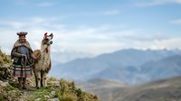 Young indigenous male in traditional Andean clothing standing with llama on mountain hillside, vast valley landscape background, cultural heritage and rural lifestyle concept.