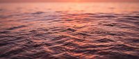 Ocean waves at sunset with warm orange and pink reflections creating peaceful seascape atmosphere for relaxation and meditation backgrounds.