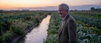 Senior farmer standing in agricultural field at sunset with irrigation canal, organic farming and sustainable agriculture concept.
