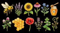 Honey bee, lavender flowers, sunflower, coneflower, cornflower, honey jar, thistle, honeycomb, poppy, oregano, mint, and fern isolated on transparent background. Ready for t-shirt designs, clipart, stickers, sublimation, and print-on-demand products.