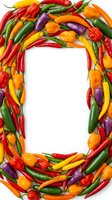Colorful hot chili peppers and bell peppers arranged in a rectangular frame border with white center space, featuring red, yellow, orange, green and purple varieties for food and culinary designs.