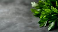 Fresh green parsley leaves on dark gray concrete background with copy space, macro view of aromatic culinary herb for cooking and garnish.