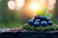 Fresh ripe blueberries with green leaves on natural moss against blurred forest background at sunset, macro food photography with bokeh effect.
