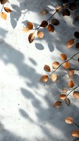 Golden autumn leaves casting shadows on textured white concrete wall, creating minimalist natural composition for seasonal backgrounds.