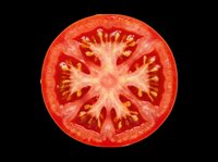 Fresh red tomato slice isolated on transparent background, cut out and ready for food design, stickers, print on demand, sublimation, T-shirt design, and clipart projects.