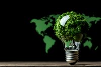 Light bulb covered with green moss against world map background on dark wall, representing eco-friendly innovation and sustainable energy solutions.
