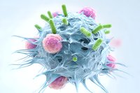 Microscopic view of a blue immune cell with pink receptor sites and green bacteria, illustrating cellular defense mechanisms in medical science.