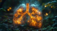 Glowing human lungs with golden light and smoke effect against dark forest background, magical anatomical visualization for medical and fantasy art.